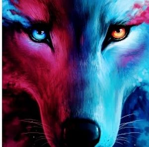 Meet your Posher, Xander